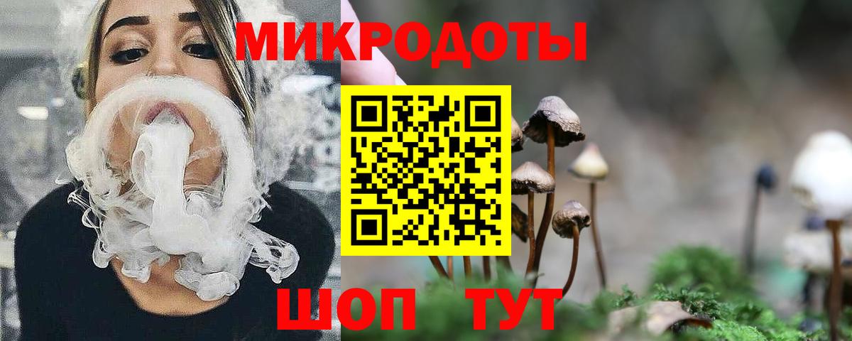 Видное  Галлюциногенные грибы GOLDEN TEACHER  даркнет сайт  Вход с VPN 
